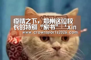 星空娱乐入口