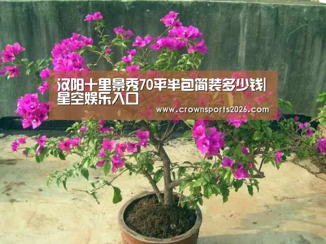 汉阳十里景秀70平半包简装多少钱|星空娱乐入口(图3)