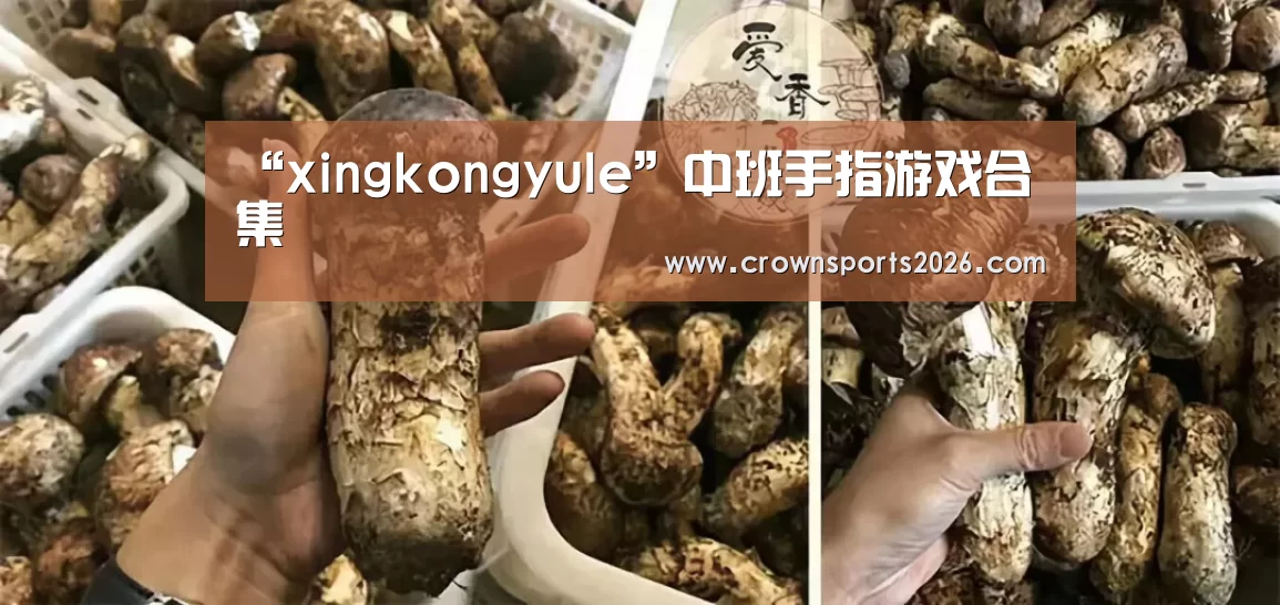 星空娱乐