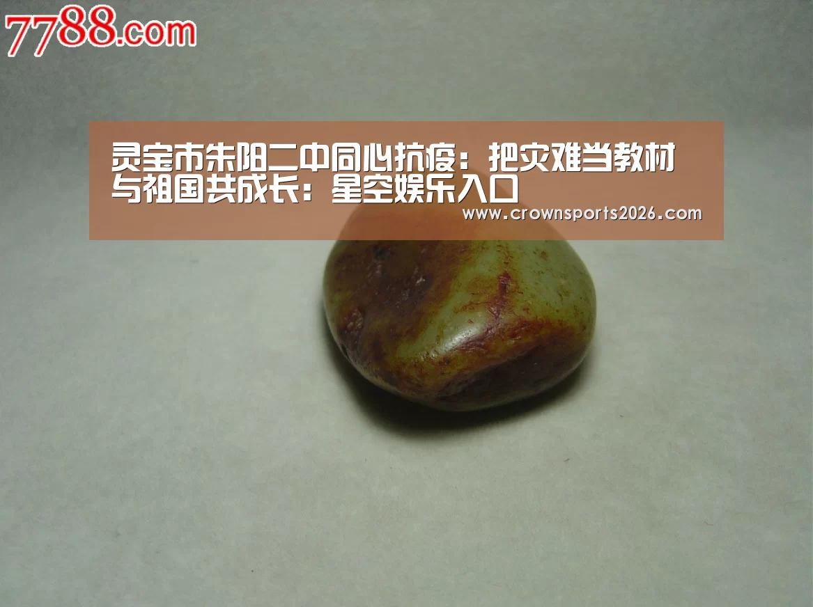 星空娱乐入口