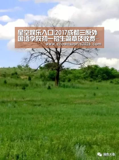 星空娱乐入口|2017成都三原外国语学校初一招生简章及收费-