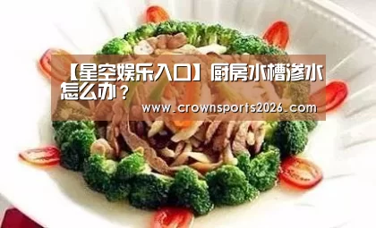【星空娱乐入口】厨房水槽渗水怎么办?(图3) 星空娱乐