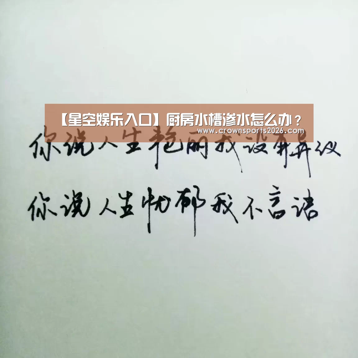 【星空娱乐入口】厨房水槽渗水怎么办?(图4) 星空娱乐