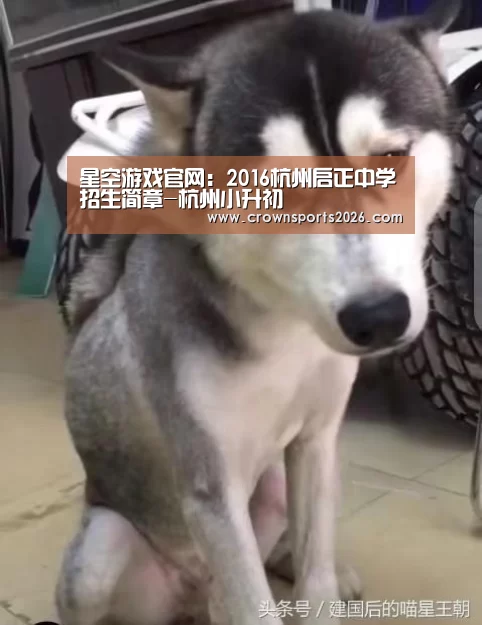星空娱乐