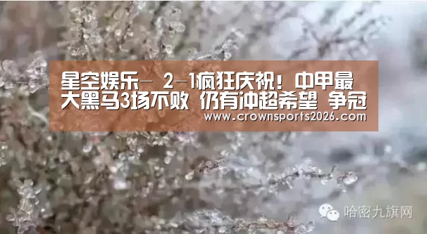星空娱乐-
2-1疯狂庆祝!中甲最大黑马3场不败 仍有冲超希望 争冠白热化(图3) 星空娱乐-
2-1疯狂庆祝!中甲最大黑马3场不败 仍有冲超希望 争冠白热化(图3)