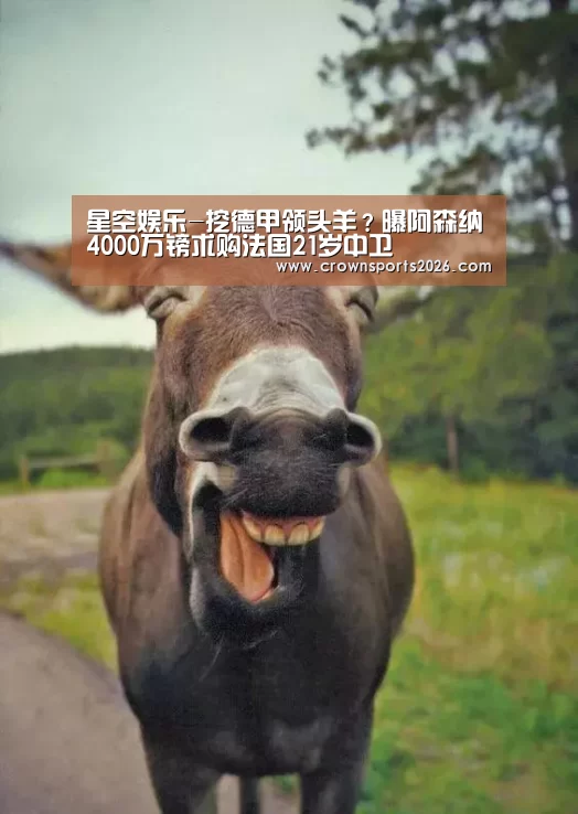 星空娱乐-挖德甲领头羊?曝阿森纳4000万镑求购法国21岁中卫(图1) 星空娱乐