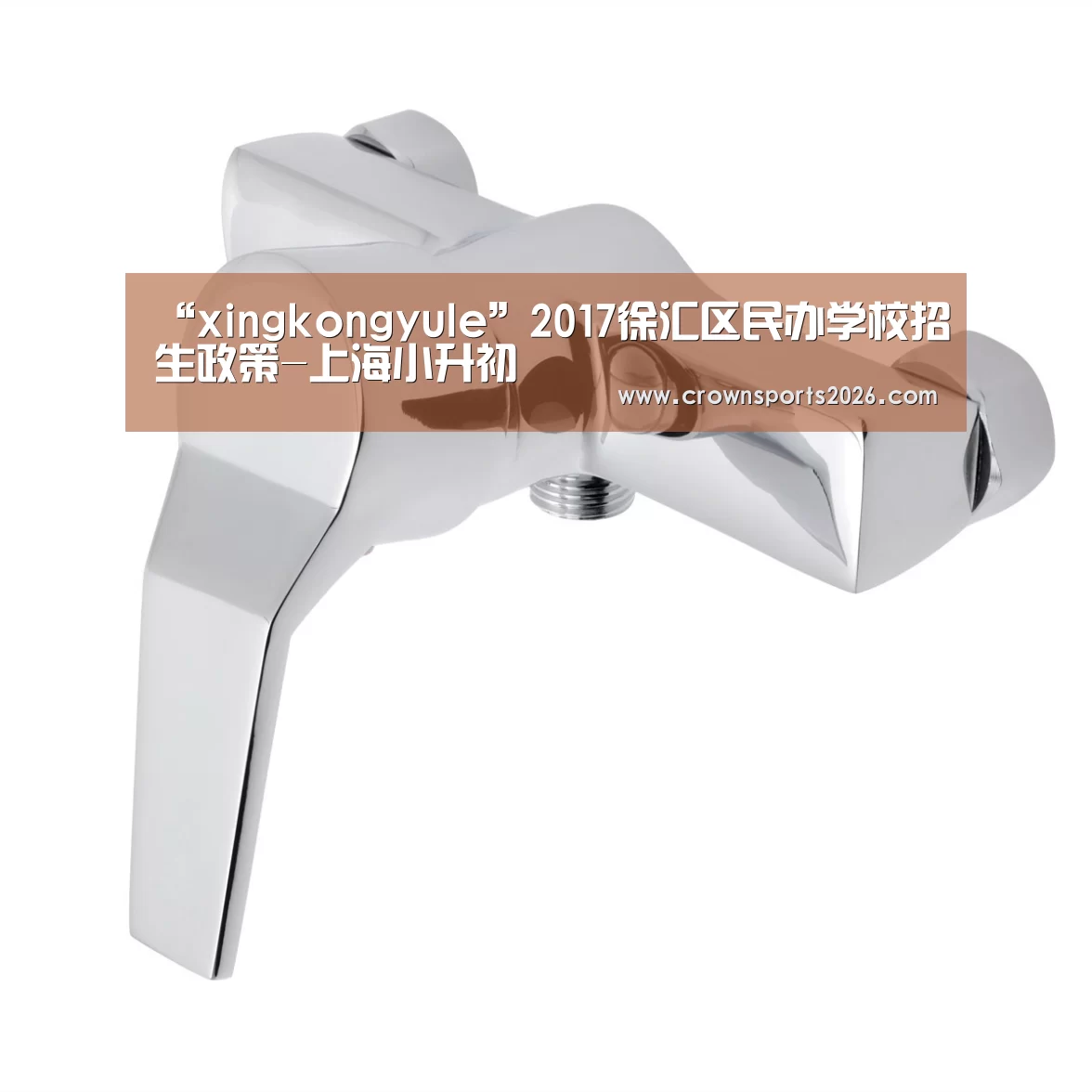 “xingkongyule”2017徐汇区民办学校招生政策-上海小升初(图3) 星空娱乐