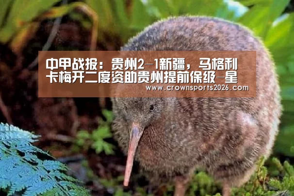 中甲战报:贵州2-1新疆,马格利卡梅开二度资助贵州提前保级-星空娱乐入口(图3) 星空娱乐入口