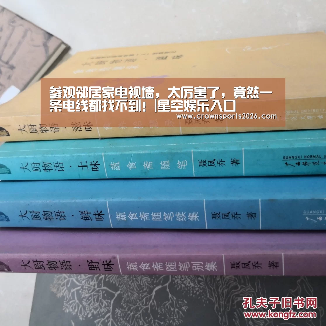 参观邻居家电视墙,太厉害了,竟然一条电线都找不到!|星空娱乐入口(图1) 星空游戏官网
