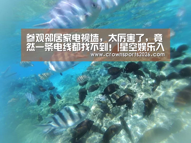 参观邻居家电视墙,太厉害了,竟然一条电线都找不到!|星空娱乐入口(图3) 参观邻居家电视墙,太厉害了,竟然一条电线都找不到!|星空娱乐入口(图3)
