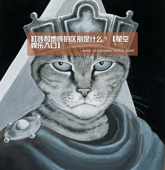 缸砖和地砖的区别是什么?【星空娱乐入口】(图1) 星空游戏官网