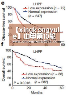 【xingkongyule】中甲第10轮开球时间宣布:10月14日3场,10月15日6场(图2) 星空游戏官网